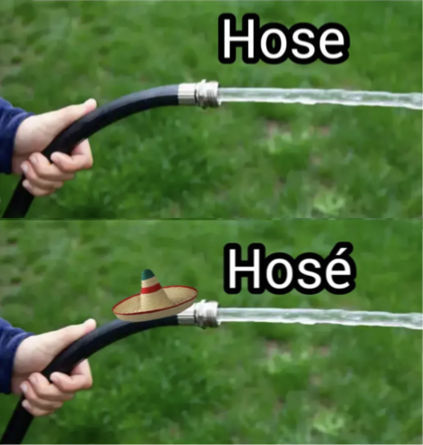 A meme with a hand holding a hose and the text above it 'hose'. Then, another hand holding another hose with the text 'hosé' above it. The second hose wears a little sombrero.